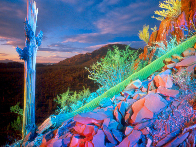 Lesch_William_RedMountainDeadSaguaro